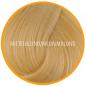Preview: Plus Additional Hair – Medium Blond
